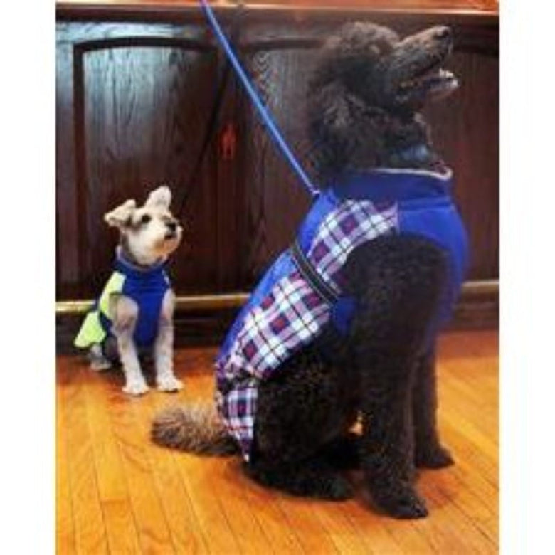 Doggie Design, Inc Alpine All Weather Coats Alpine All-Weather Dog Coat - Royal Blue Plaid