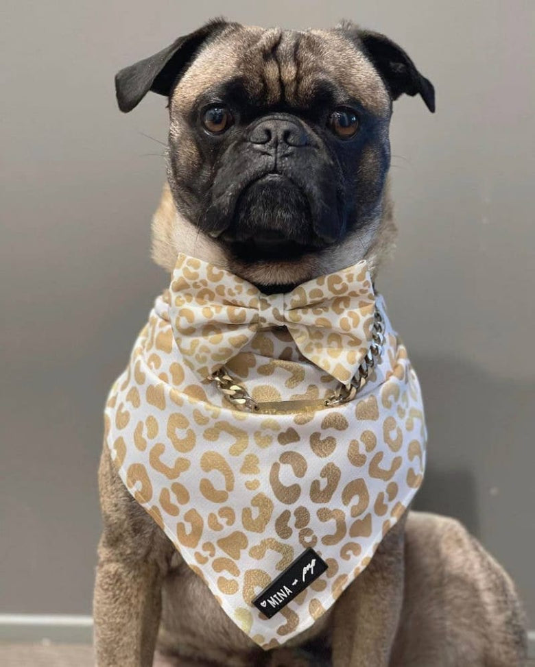 Mina + Pup Bow Tie You're So Golden Leopard Gold Bow Tie Dog Collar Attachment