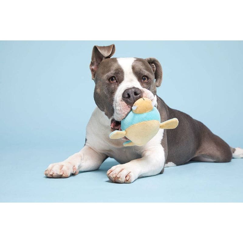 BARK dog toys Wallace the Walrus Plush Blue Squeak Dog Toy