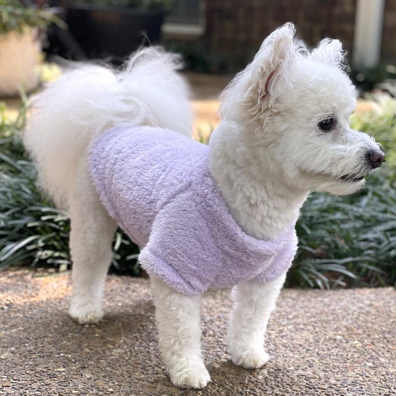 Doggie Design SWEATERS Lavender Soft Warm Plush Dog Pullover