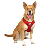 GA Georgia Bulldogs Red Quilted Velvet Dog Harness