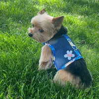 Doggie Design, Inc Harnesses Cool Mesh Dog Harness with Leash - Catching Waves