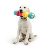 Huxley & Kent Dog Toys Fetchies Caterpillar Plush Squeak Dog Toy - 2 Sizes