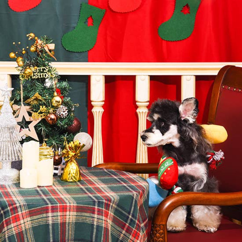 Hugsmart Products Inc Hugsmart Products Inc - HugSmart Pet - Happy Woofmas | Christmas Light - Rope Toy