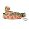 The Worthy Dog Leashes SM Peachy Keen Peach/Green Dog Leash - Sz Sm