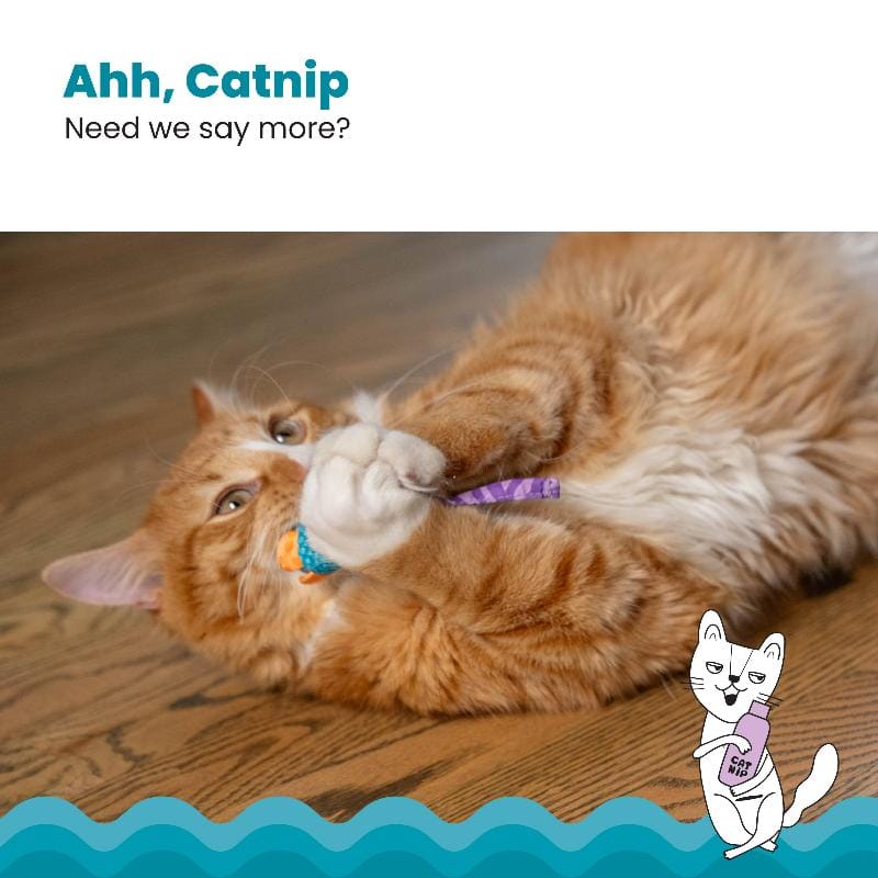 Outward Hound Cat Toys Chew Mice Dental Health Cat Toy - 2pc