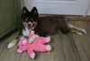 Dalton the Pig Pink Plush Squeaky Dog Toy - 2 Sizes