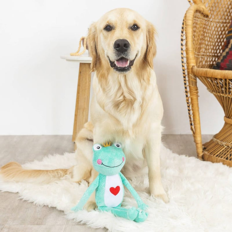 Petshop by Fringe Studio dog toys Prince Charming Love Heart Frog Plush Squeak Dog Toy
