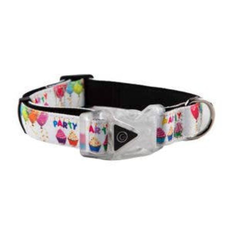 Barker's Bowtique Collars Birthday Party Adjustable Dog Collar W/ Led Buckle