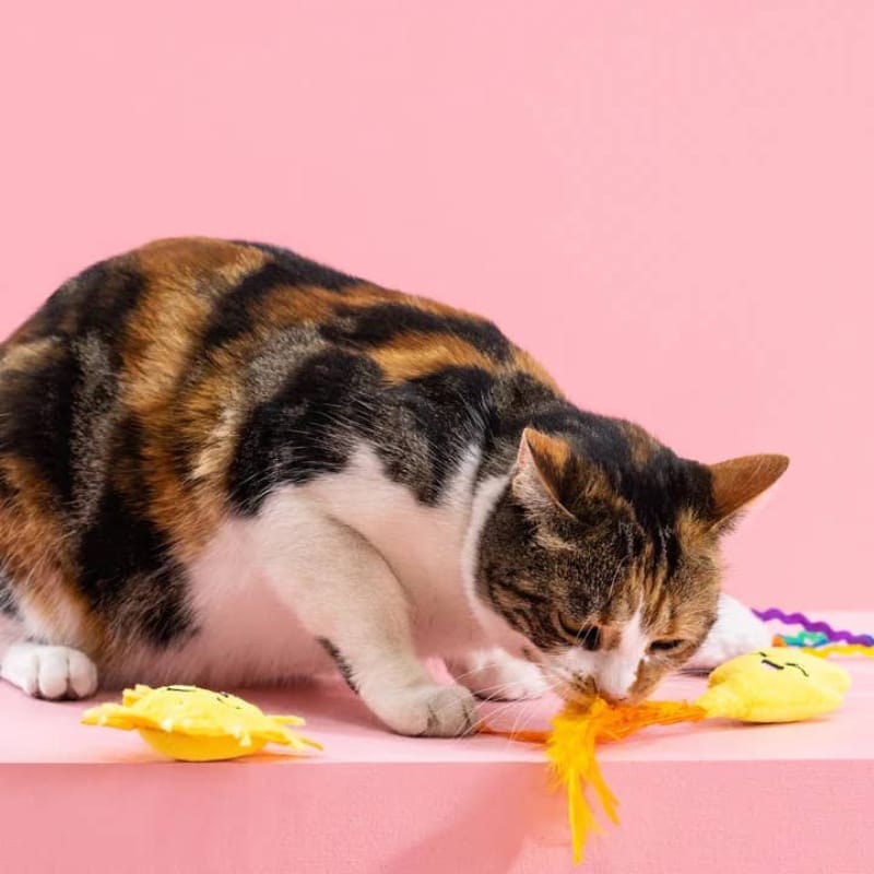 Petshop by Fringe Studio Cat Toys Purr-fect Weather Plush Summer Cat Toy Set - 3pc