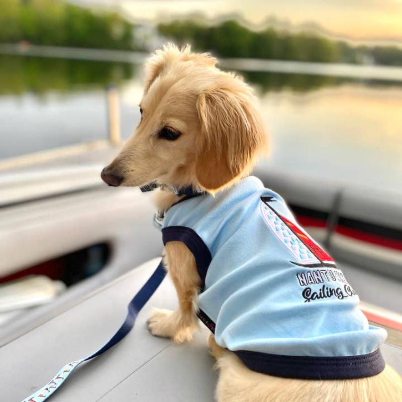 Parisian Pet Tee's XXS Sail Boat Dog Tee