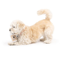 Huxley & Kent Dog Toys Tiny Tuff Toto's Pawdka Plush Squeak Dog Toy