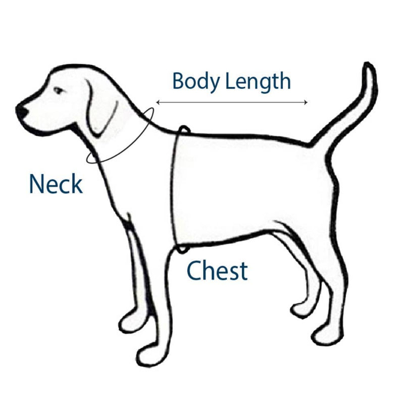 Barker's Bowtique Barker's Bowtique - Hip Doggie-Old Header Cards- Ultra Comfort Harness-Purple: XS
