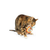 Turkey Flinger Fall Season Plush Cat Toy