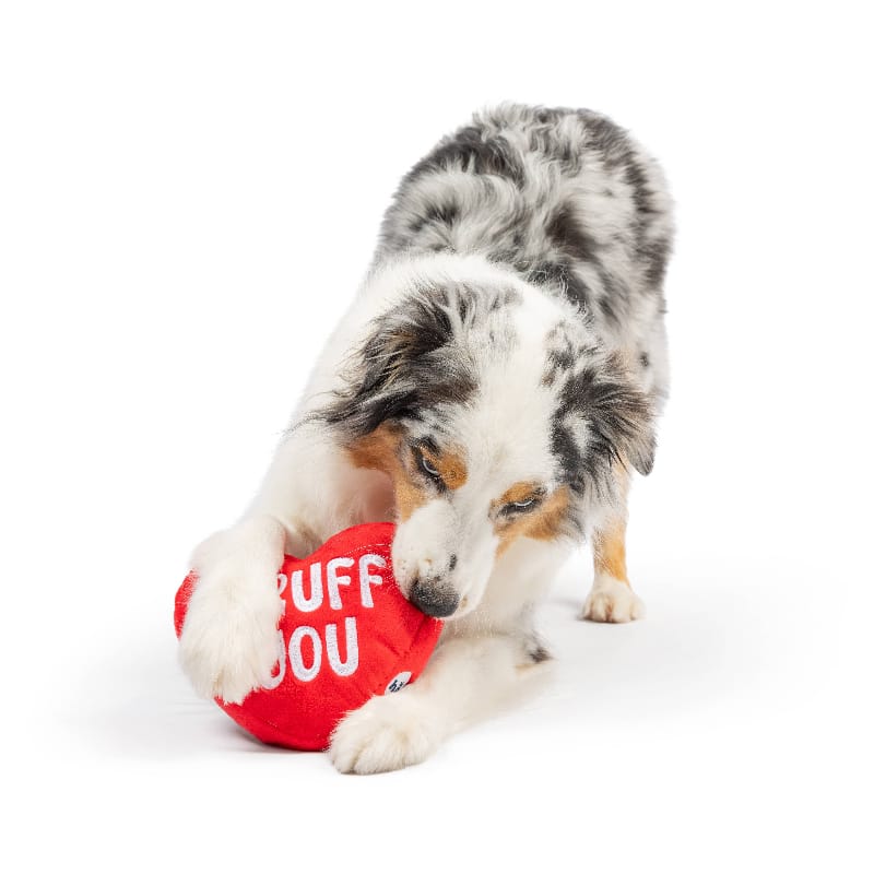 Huxley & Kent dog toys First Lick Heart Plush Dog Toy (Double-Sided) - 2 Sizes