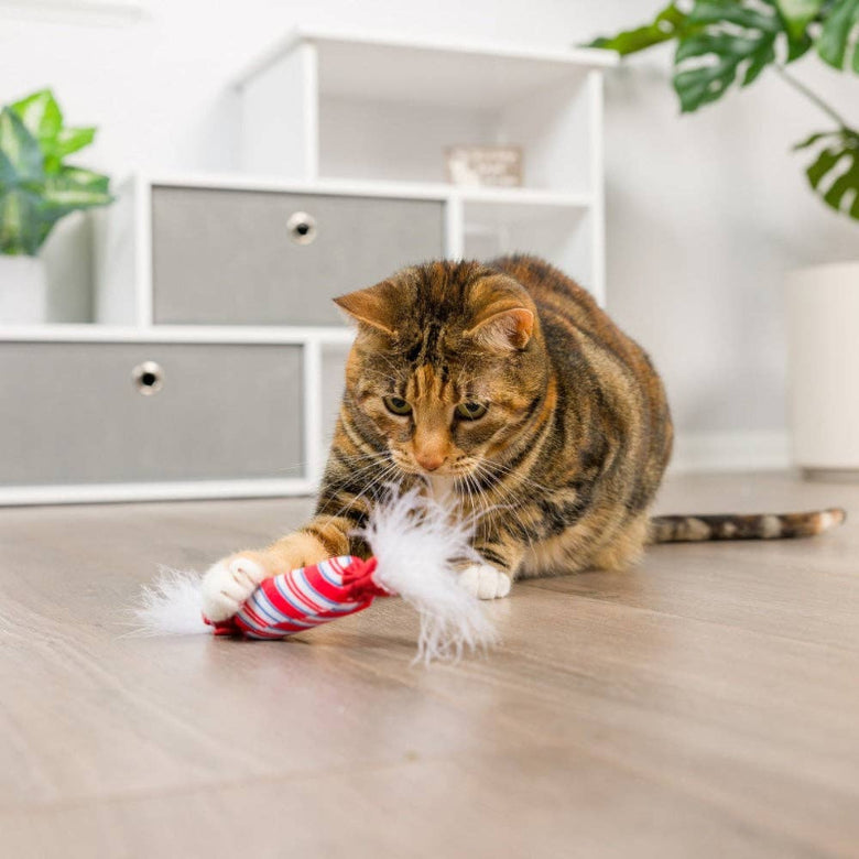 Christmas Holiday Lit Donut & Peppermint Candy Cat Toy Set - 2 Pk