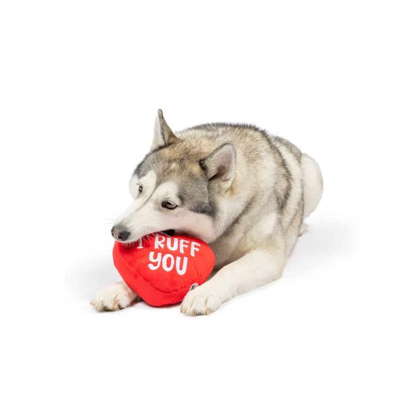 Huxley & Kent dog toys First Lick Heart Plush Dog Toy (Double-Sided) - 2 Sizes