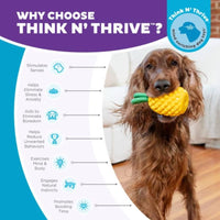 Outward Hound dog toys Dental Yellow Pineapple Interactive Rope Tug and Treat Dog Chew Toy