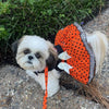 Halloween Fab-BOO-Lous Harness Pet Dress with matching Leash