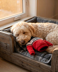 Haute Diggity Dog Haute Diggity Dog - Apres Ski Sweater