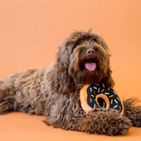 ZippyPaws dog toys Pumpkin Spice Fall Donutz Sprinkles Squeaky Dog Toy
