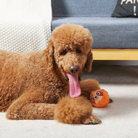 Hugsmart Products Inc dog toys Zoo Ball Sloth Ball Dog Toy