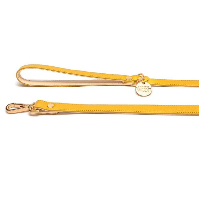Neighborwoof Leashes Canary Yellow Handcrafted Leather Gold Hardware Dog Leash: 3/4"