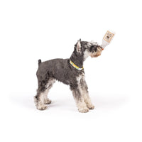 Huxley & Kent Dog Toys Tiny Tuff Toto's Pawdka Plush Squeak Dog Toy