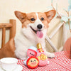 Hugsmart Products Inc dog toys Picnic Time Backyard Picnic Plush Dog Toy Set - 3 Pc