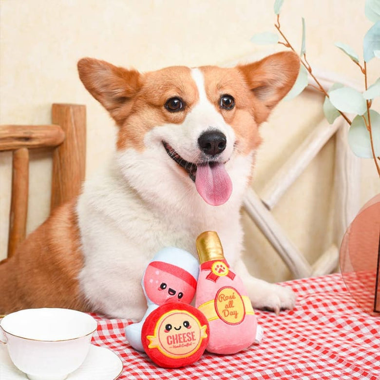 Hugsmart Products Inc dog toys Picnic Time Backyard Picnic Plush Dog Toy Set - 3 Pc