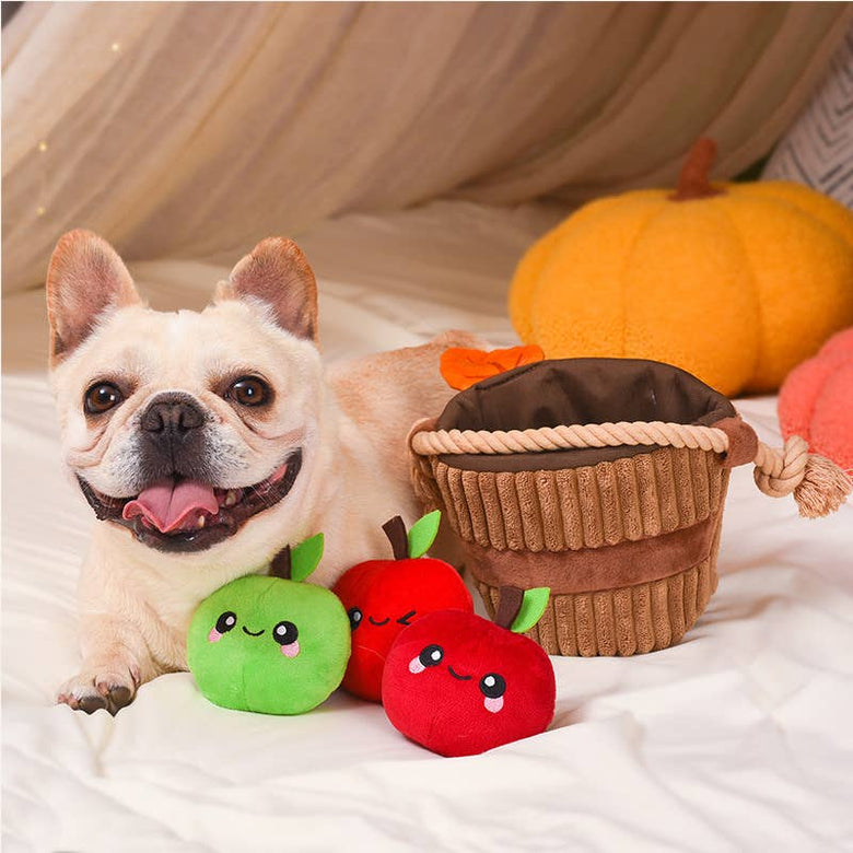 Hugsmart Products Inc dog toys Autumn Tailz Apple Basket Interactive Plush Dog Toy