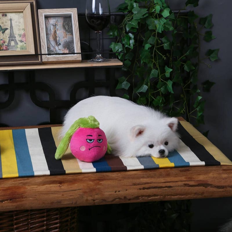 Hugsmart Products Inc dog toys Feisty Veggie Pink Radish Squeaky Plush Dog Toy