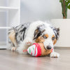 Huxley & Kent Huxley & Kent - Latte My Way Dog Toy (Double Sided): Large
