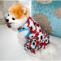 AE DRESSES Flower Spring Pet Dresses in Various Styles