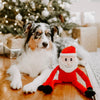 Christmas Holiday Crinkle Santa Plush Squeaky Dog Toy - 3 Sizes