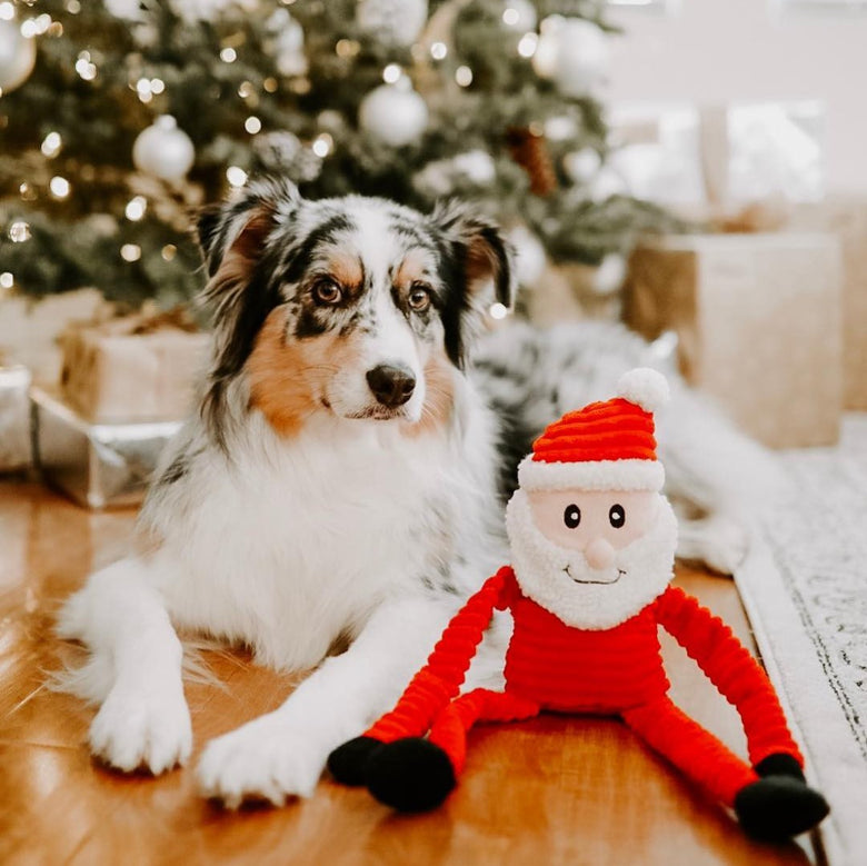 Christmas Holiday Crinkle Santa Plush Squeaky Dog Toy - 3 Sizes