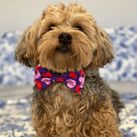 Huxley & Kent Bow Ties Convo Hearts Bow Tie Pet Collar Attachment - 3 Sizes