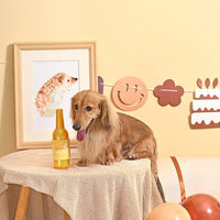 Hugsmart Products Inc dog toys Yappy Birthday Wine TPR Rubber Bottle Dog Toy