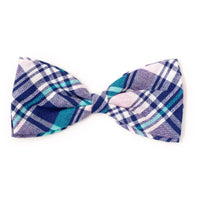 Madras Blue / White / Teal Plaid Bow Tie Pet Collar Attachment - 2 Sizes