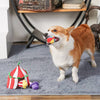 Hugsmart Products Inc dog toys Happy Circus Interactive Plush Squeak Dog Toy Set - 4 Pc