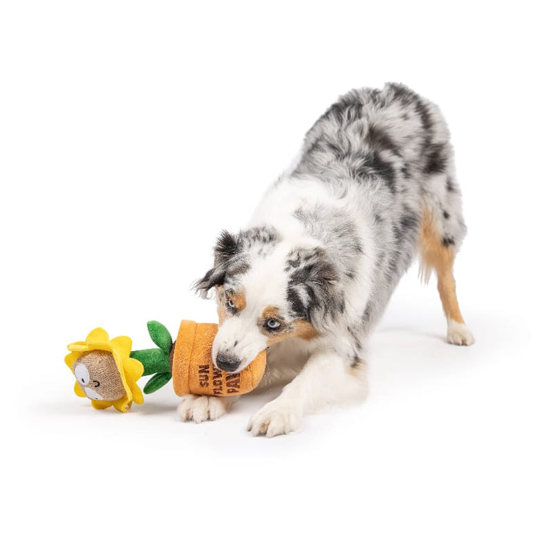 Huxley & Kent dog toys Seek 'n Treat Sunflower Pawt Plush Treat Interactive Dog Toy