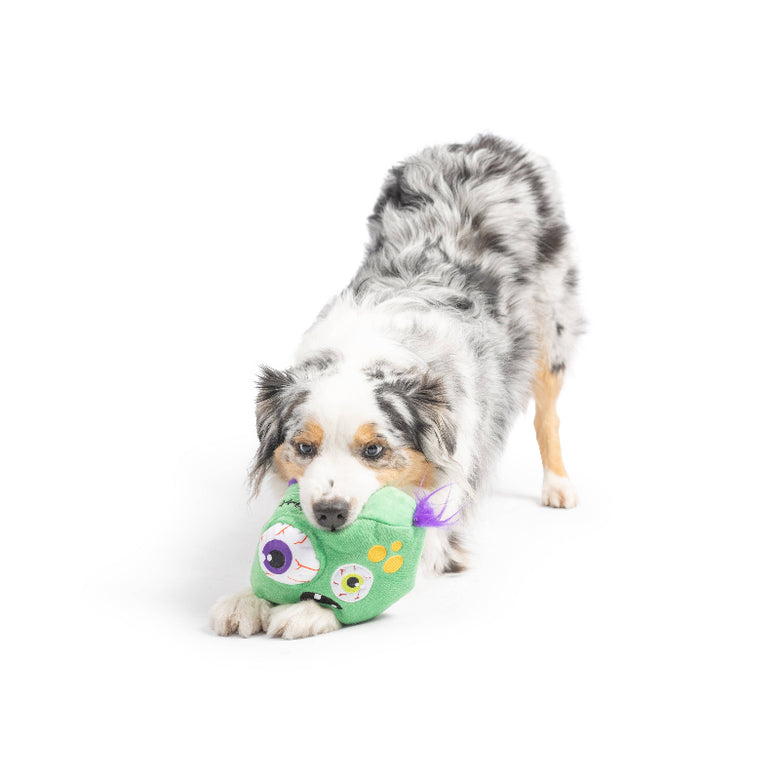 Zombie Pop 'n Fetch Pop-Eye Spooky Halloween Plush Squeaky Dog Toy