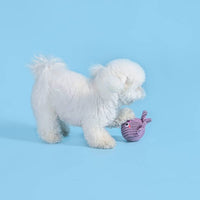 Hugsmart Products Inc dog toys Ocean Pals Octopus Ball Dog Toy