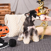 Hugsmart Products Inc dog toys Howloween Night Witches Brew Plush Dog Toy Set - 3 Pc