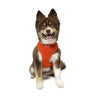 Barker's Bowtique Barker's Bowtique - Hip Doggie-Old Header Cards- Ultra Comfort Harness-Orange: XS