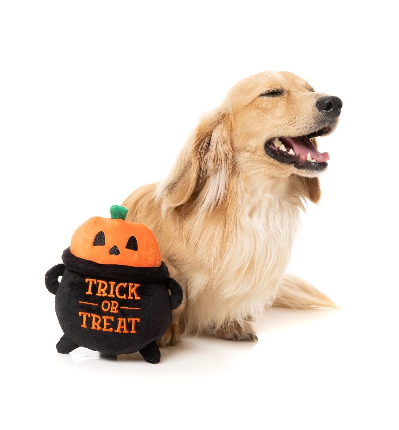 FuzzYard dog toys Halloween Trick Or Treat Cauldron Plush Squeaky Dog Toy