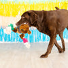 Tacos & Tequila Fiesta Sloth Plush Squeaky Rope Dog Toy