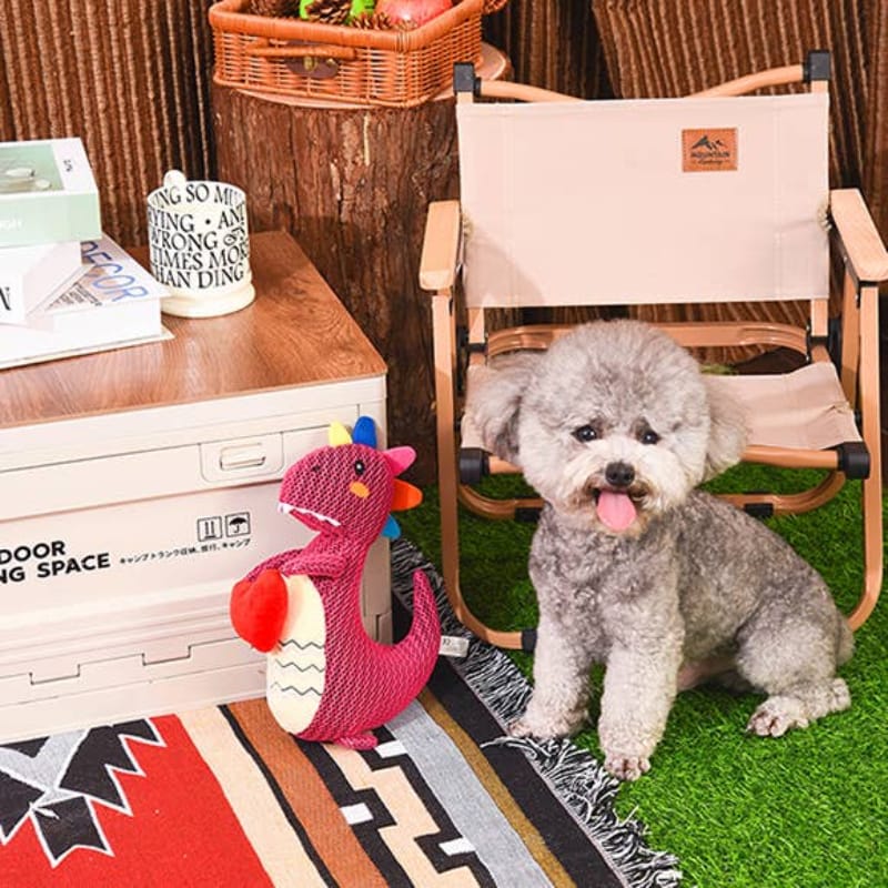 Hugsmart Products Inc dog toys Fuzzy Friendz Mesh Dinosaur Heart Rexy Squeak Dog Toy - 2 sizes