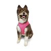 Barker's Bowtique Barker's Bowtique - Hip Doggie-Old Header Cards- Ultra Comfort Harness-Pink: XS