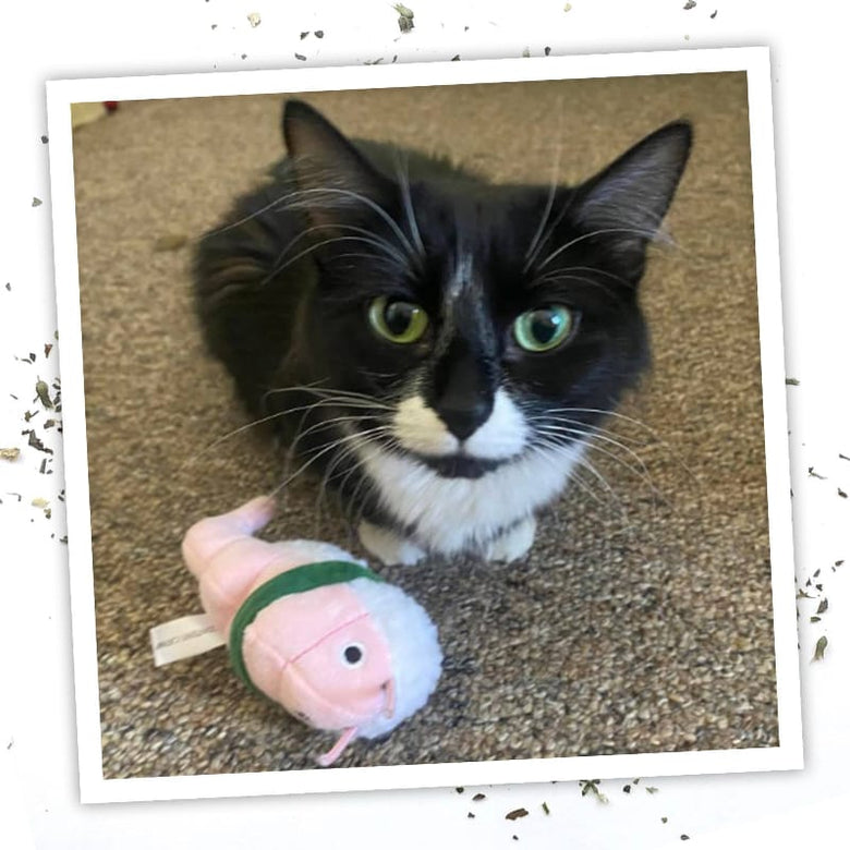 Meowijuana Cat Toys Meowijuana Get Wrapped Sushi Roll Cat Toy